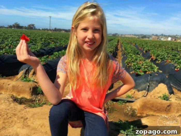 Spring Break at Home No Travel All Chill 5 Things to do with your kids on Spring Break that are free or inexpensive.