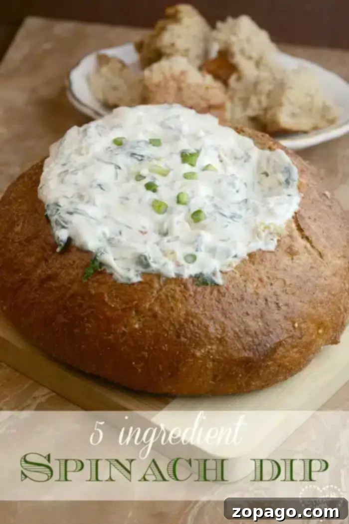 Cool and Creamy Spinach Dip 2 Creamy cold spinach dip served in a rustic bread bowl, garnished with fresh herbs, ready for a party.