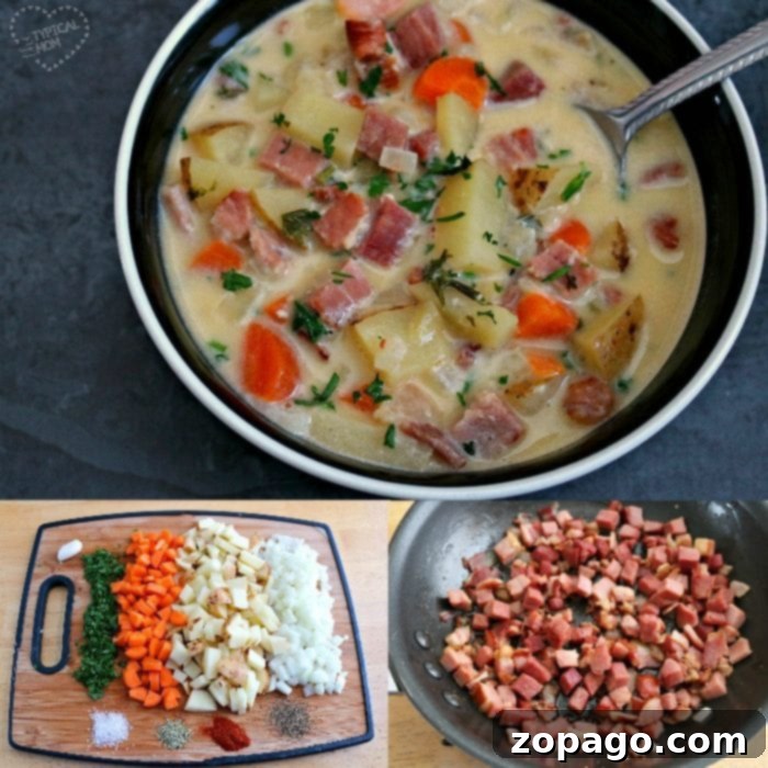 Simple Ham and Potato Soup Recipe for Slow Cooker or Stovetop Preparation Close-up of hearty leftover ham soup simmering in a slow cooker, showing diced ingredients