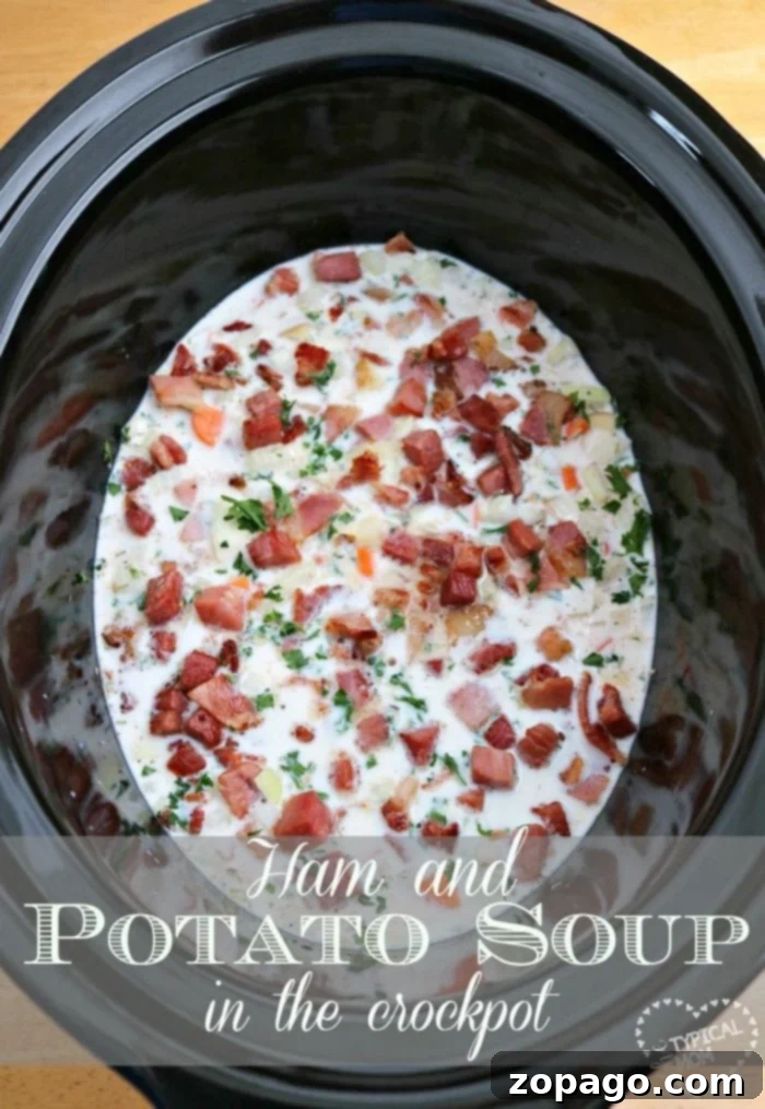 Delicious and Easy Ham and Potato Soup Recipe A bowl of creamy Ham and Potato Soup, garnished and ready to be enjoyed