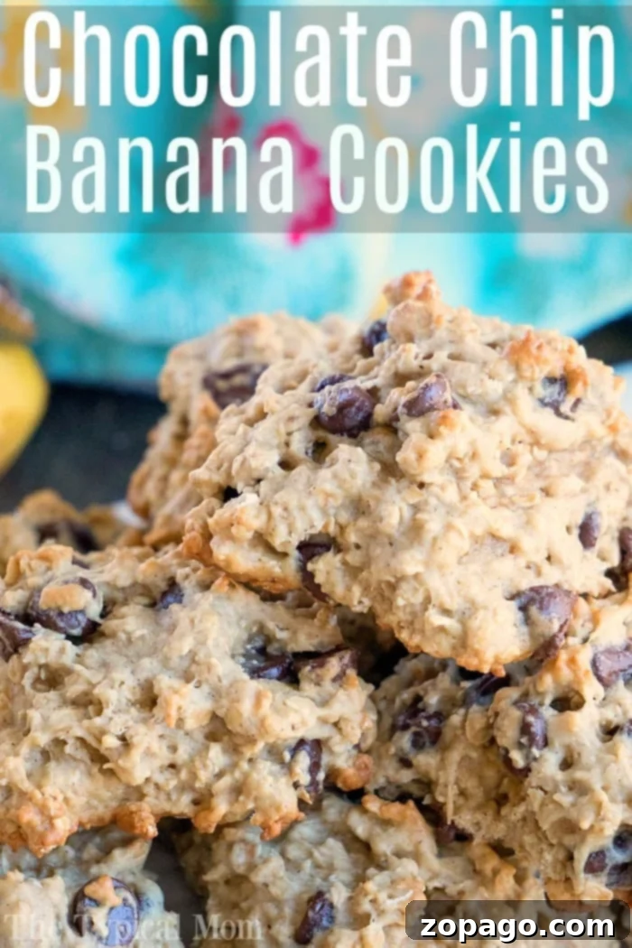 Delicious cookies made with overripe bananas! banana chocolate chip oatmeal cookies