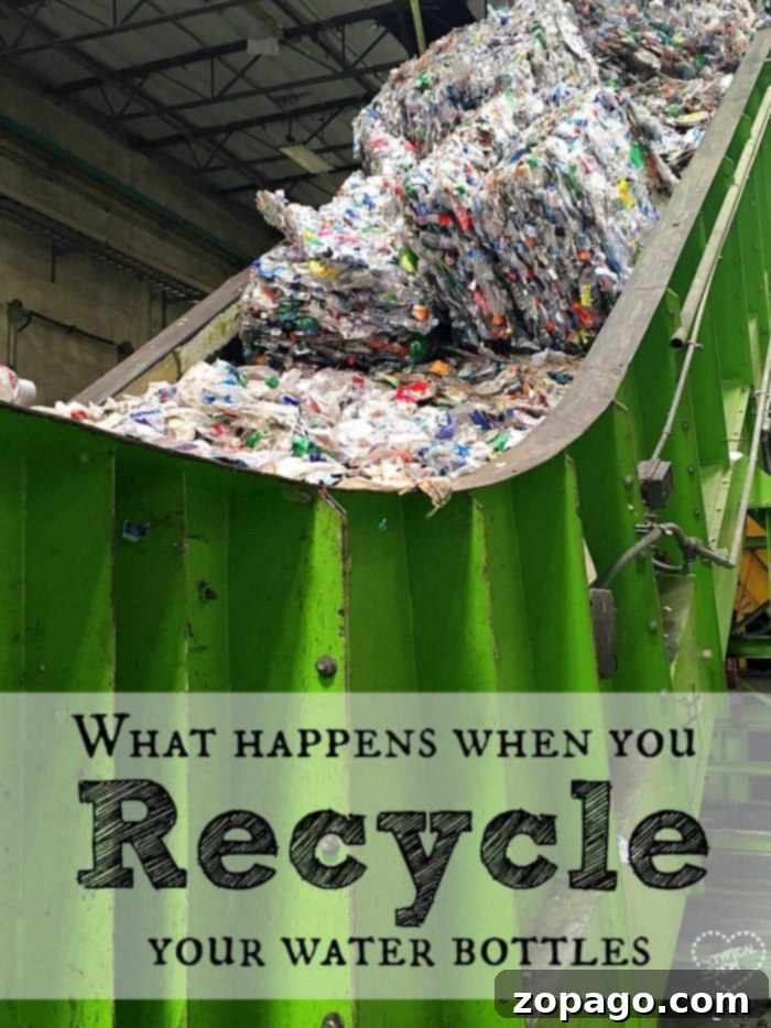 The Incredible Journey: Recycling Plastic Bottles for a Greener Tomorrow The importance of recycling plastic bottles and what happens to a bottle once you recycle it. Repurposing water bottle crafts for kids are here too!