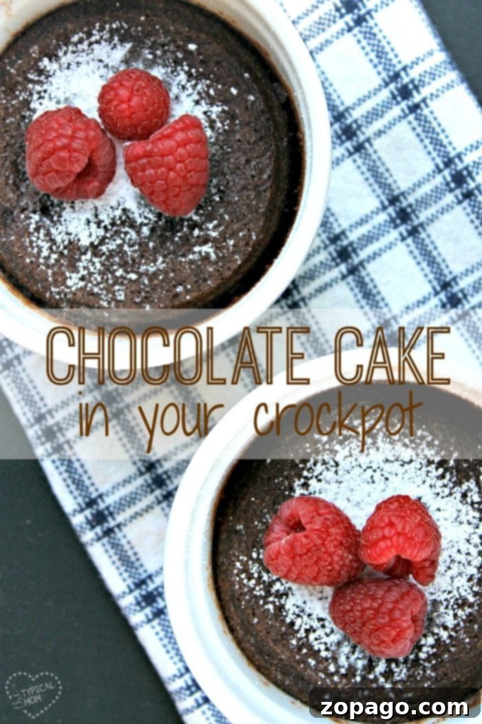 Crockpot cake that tastes amazing!! So easy to make these mini chocolate cakes in a slow cooker that are done in just an hour and an ooey gooey texture. #crockpot #cake #dessert #slowcooker An appetizing crockpot chocolate cake, showcasing its rich texture and topping options.