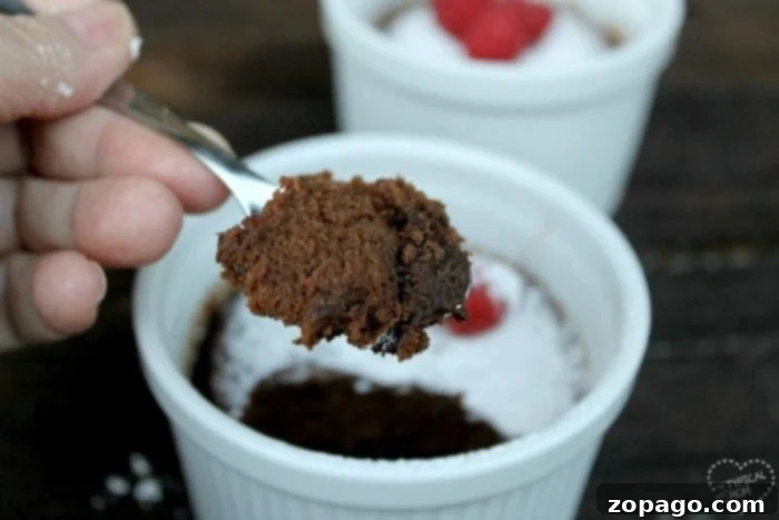 Crockpot cake that tastes amazing!! So easy to make these mini chocolate cakes in a slow cooker that are done in just an hour and an ooey gooey texture. #crockpot #cake #dessert #slowcooker Slow cooker cake being served with a dusting of powdered sugar.