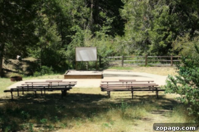 Palomar Observatory: San Diegos Window to the Universe 3 Observatory Campground nestled among trees, a perfect spot for stargazing near Palomar