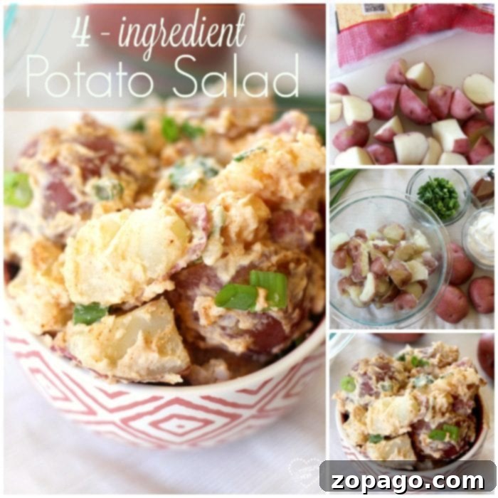 Light & Fresh Potato Salad 2 A close-up of the simple 4 ingredient potato salad, highlighting its creamy texture and fresh ingredients.