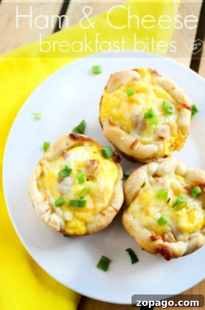 Ham and cheese breakfast bites are great using leftover ham! A great muffin tin recipe for breakfast and a perfect on the go nutritious meal kids love. #leftoverham #breakfast #muffintin #bites #biscuits Close-up of golden brown ham and cheese egg muffins in a muffin tin, ready to be served for an easy, on-the-go breakfast.