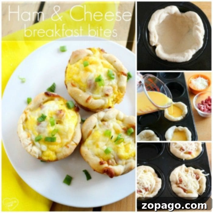 Ham and cheese breakfast bites are great using leftover ham! A great muffin tin recipe for breakfast and a perfect on the go nutritious meal kids love. #leftoverham #breakfast #muffintin #bites #biscuitsHam and cheese breakfast bites are great using leftover ham! A great muffin tin recipe for breakfast and a perfect on the go nutritious meal kids love. A close-up of golden-brown ham and cheese egg bites, perfectly baked and ready for an easy, satisfying breakfast or snack.