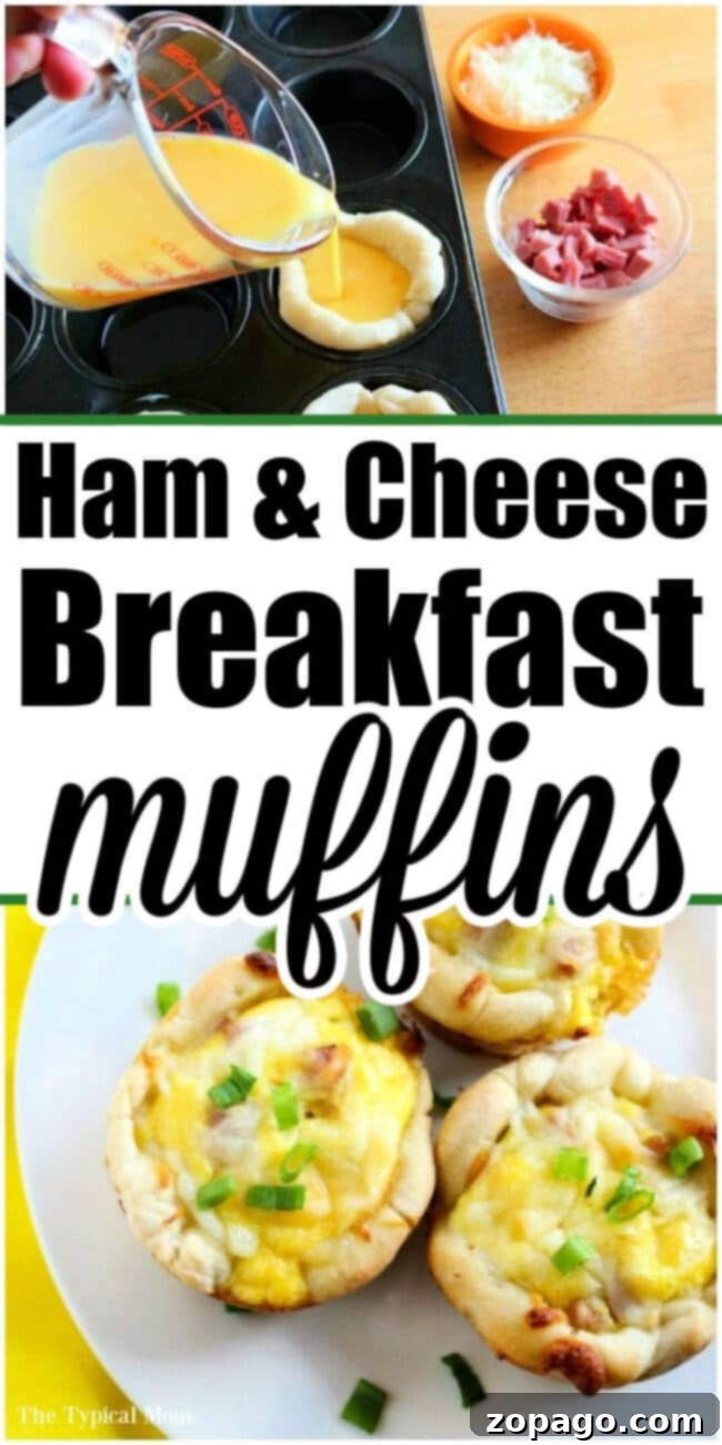 Hearty Ham and Cheese Biscuits 4 Close-up of freshly baked ham and cheese egg muffins, perfectly golden, set on a white plate with a yellow napkin, emphasizing an easy and nutritious breakfast.