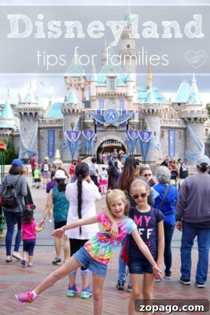 Family enjoying a magical day at Disneyland, full of joy and cherished memories. Family enjoying a magical moment at Disneyland