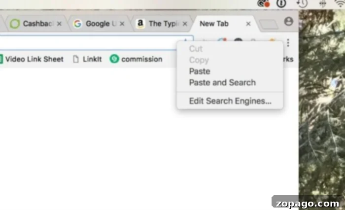Visual guide: setting Swagbucks as your default search engine to earn free points for Disney. Screenshot demonstrating how to change your default search engine to Swagbucks for passive point earning towards free Disney tickets.