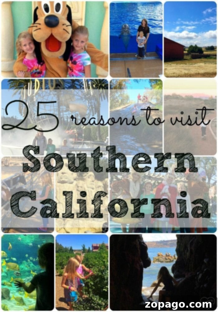 Discover the best family-friendly destinations in Southern California for an unforgettable vacation. Best places to go in Southern California with kids and families