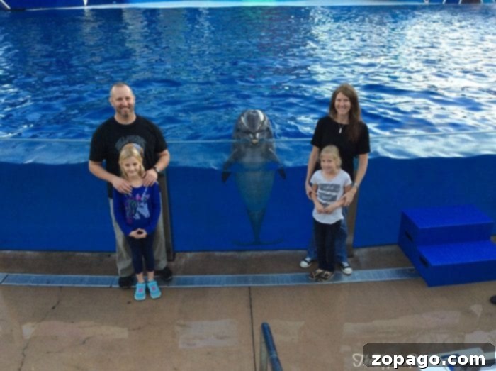 Discover top Southern California attractions perfect for family adventures. Family fun at Southern California attractions like SeaWorld