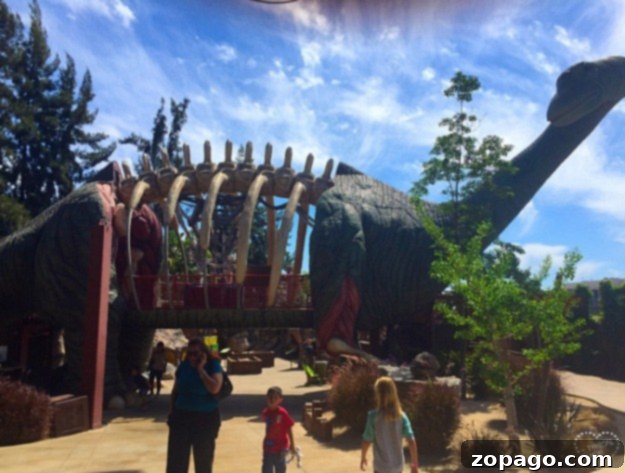 Experience unique family adventures in Southern California's diverse landscape. Unique places to go in Southern California for adventurous families
