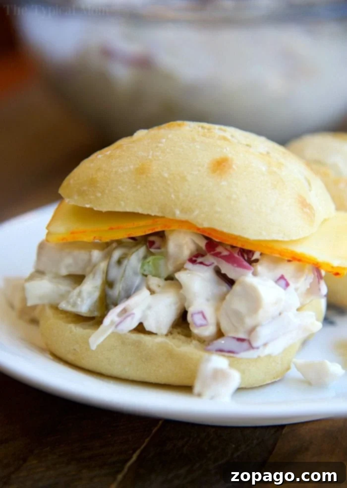 This easy chicken salad sandwich recipe with dill pickles is packed with flavor and our favorite lunch ever. It's a great picnic recipe and delicious eaten on crackers or made into sandwiches. With a little crunch and put in between two slices of cheese it's a meal even my kids love. Try it! #chicken #salad #best #pickle #sandwich #loaded Rotisserie chicken salad sandwich with cheese and fresh greens, elegantly served on a plate for a gourmet lunch.