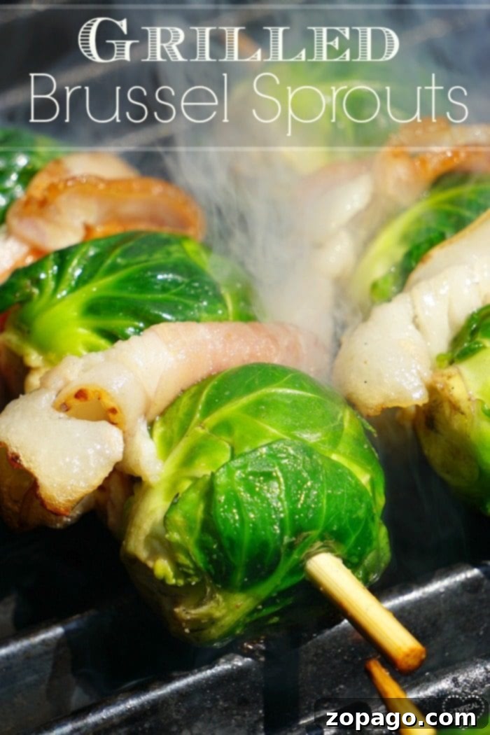 Simple Grilled Brussels Sprouts 5 Grilled Brussels Sprouts with Bacon Skewers on the Grill