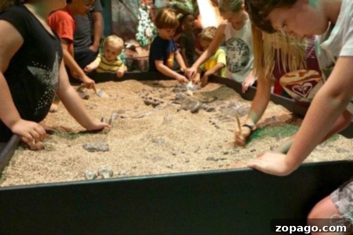Children actively digging for dinosaur bones at the paleontologist-themed sand tables with brushes at Discovery Cube OC