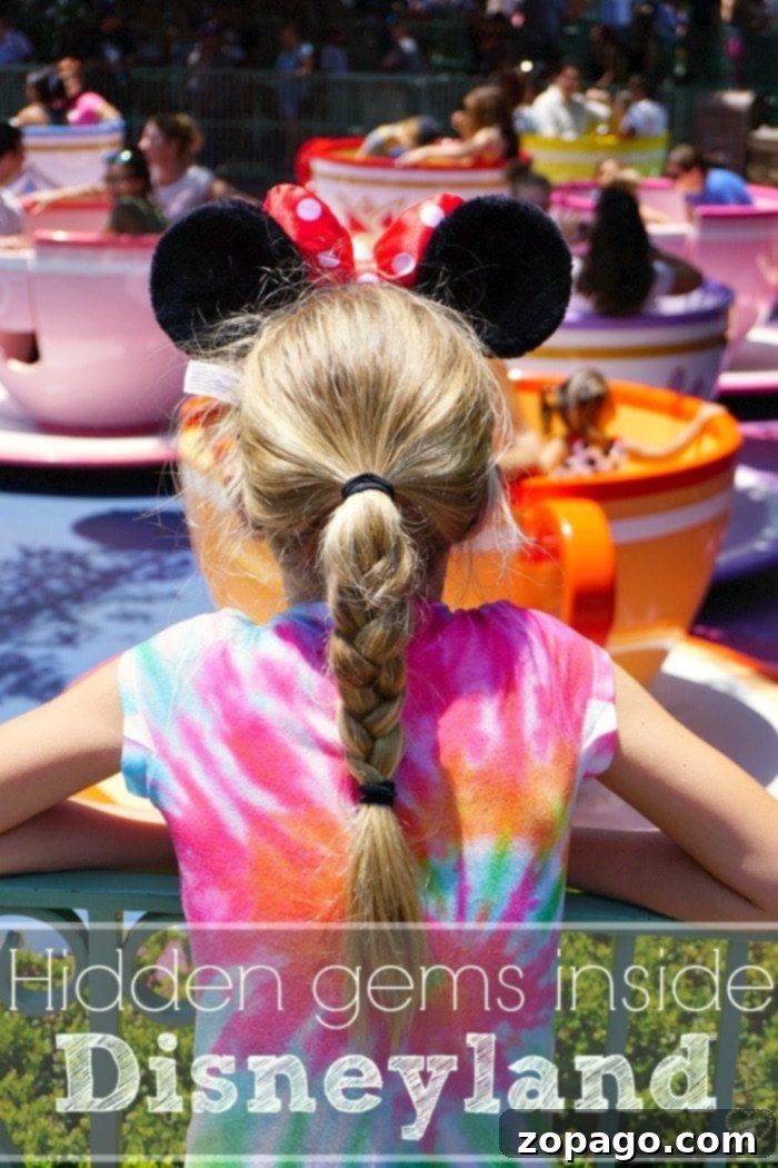 Free Magic at Disneyland 7 Printable Disneyland checklist featuring iconic park elements to guide visitors.