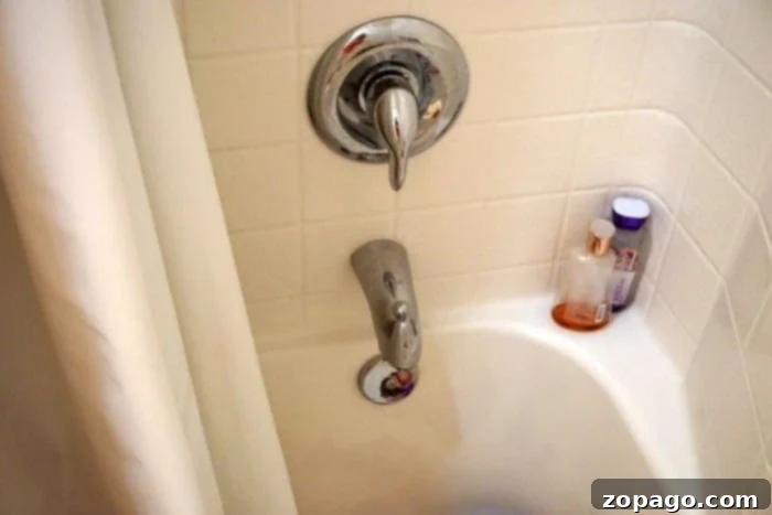Maximizing Energy Efficiency 4 Ways to conserve energy by taking shorter showers.