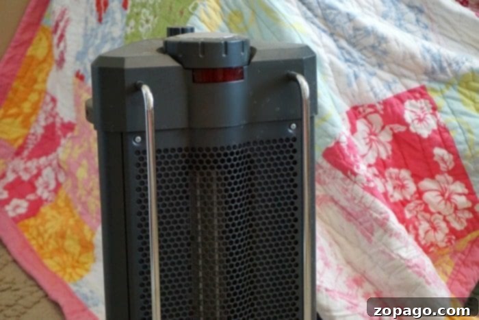 Maximizing Energy Efficiency 5 Ways to conserve energy by using space heaters.