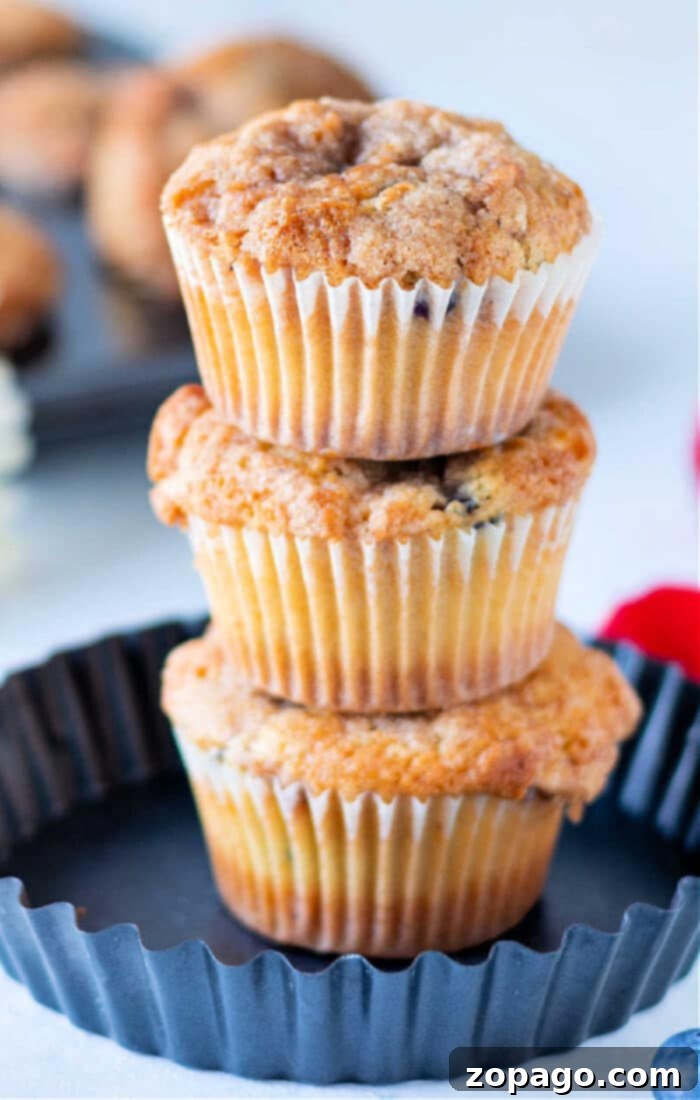 Perfect Frozen Blueberry Muffins 2 how to make blueberry muffins