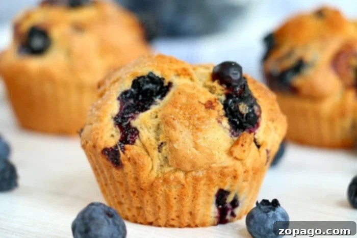 Perfect Frozen Blueberry Muffins 9 blueberry muffin