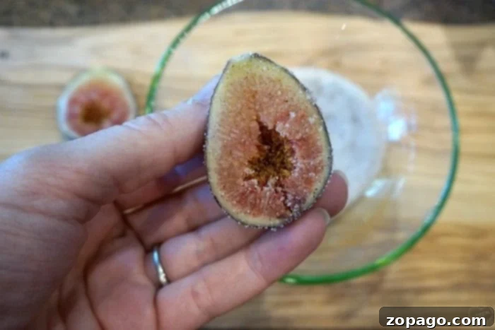 Oven-Kissed Figs 5 A hand delicately holds a sugared fig half over a bowl on a rustic wooden surface, echoing the charm of learning how to bake figs in the oven for an exquisite dessert experience.
