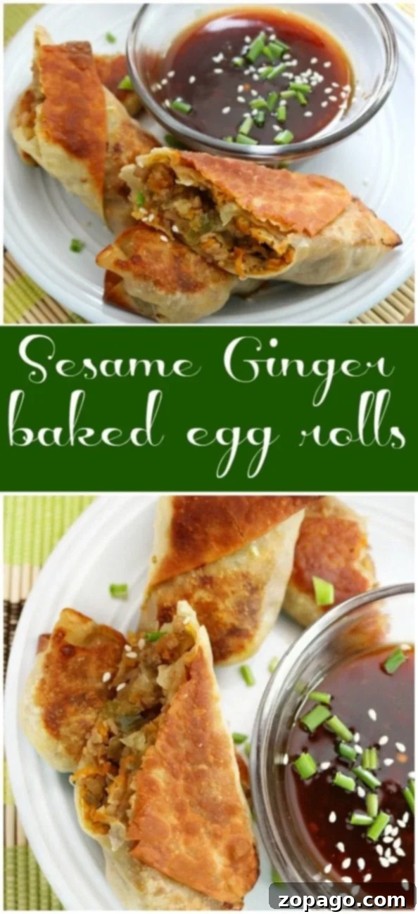 Easy egg roll recipe you've got to try. Packed with flavorful meat or vegetarian too it's a perfect Asian side dish or meal. Crispy homemade egg rolls ready to be served, highlighting an easy egg roll recipe for any occasion.