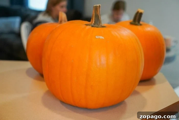 Wicked Halloween Word Hunt 2 pumpkin