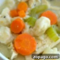 Close-up of a hearty bowl of slow cooker chicken and dumplings featuring tender carrots, celery, and succulent pieces of chicken.