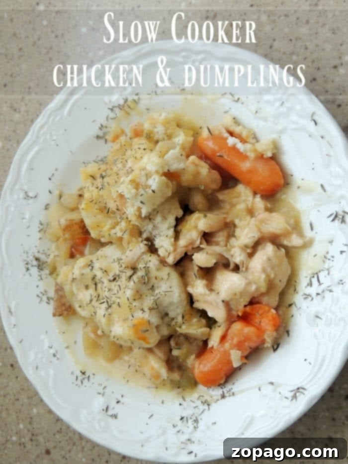 Slow Cooker Chicken & Dumplings: Comfort Made Easy 3 A close-up shot of a pot filled with slow cooker chicken and dumplings, ready to be served.
