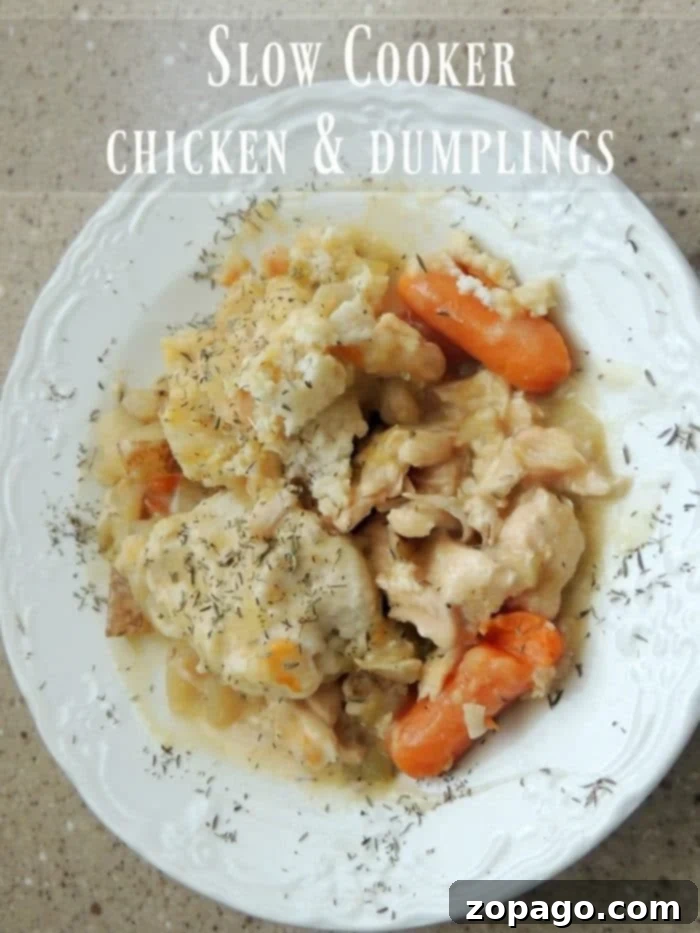 Homestyle Slow Cooker Chicken and Dumplings 6 A close-up shot of a single, fluffy dumpling nestled in a rich, creamy chicken and vegetable stew, showcasing the comforting texture.