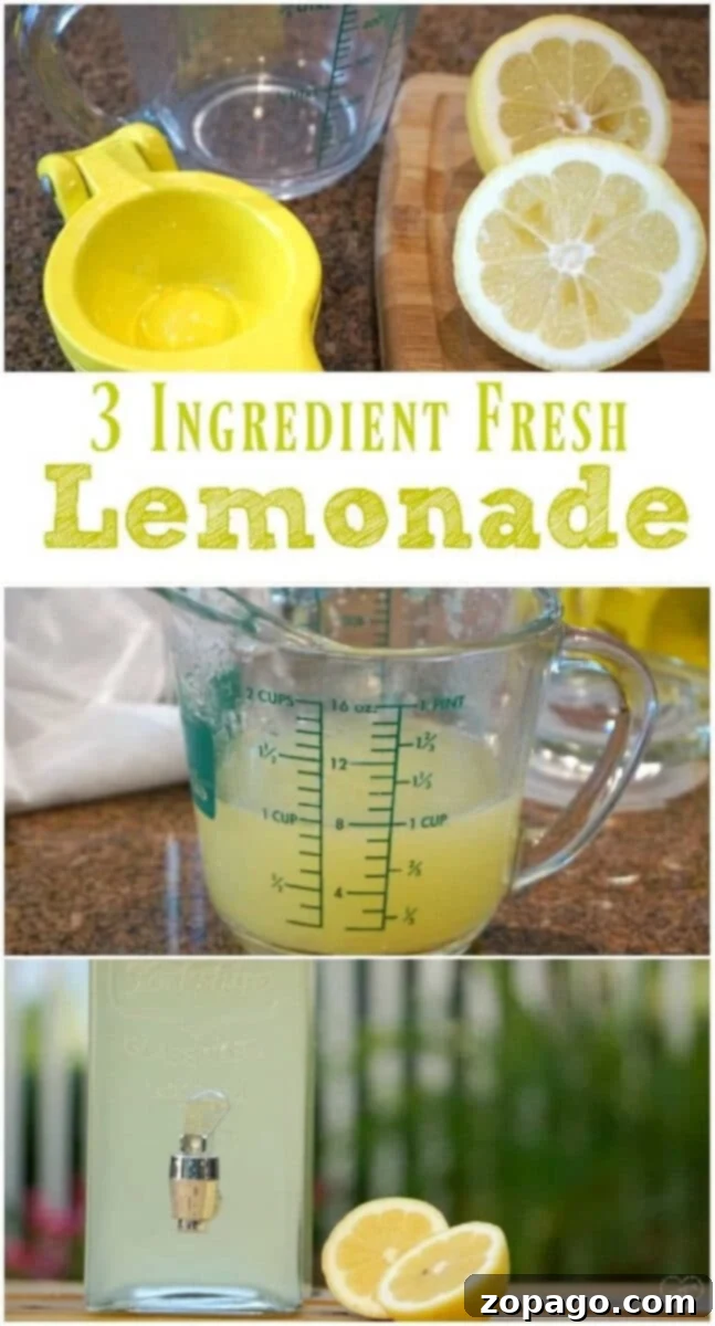 Fresh squeezed lemonade recipe using just 3 ingredients to make the best lemonade ever. You've got to try this, we make it year round. fresh-squeezed-lemonade-recipe - Glasses of lemonade with lemon slices and mint