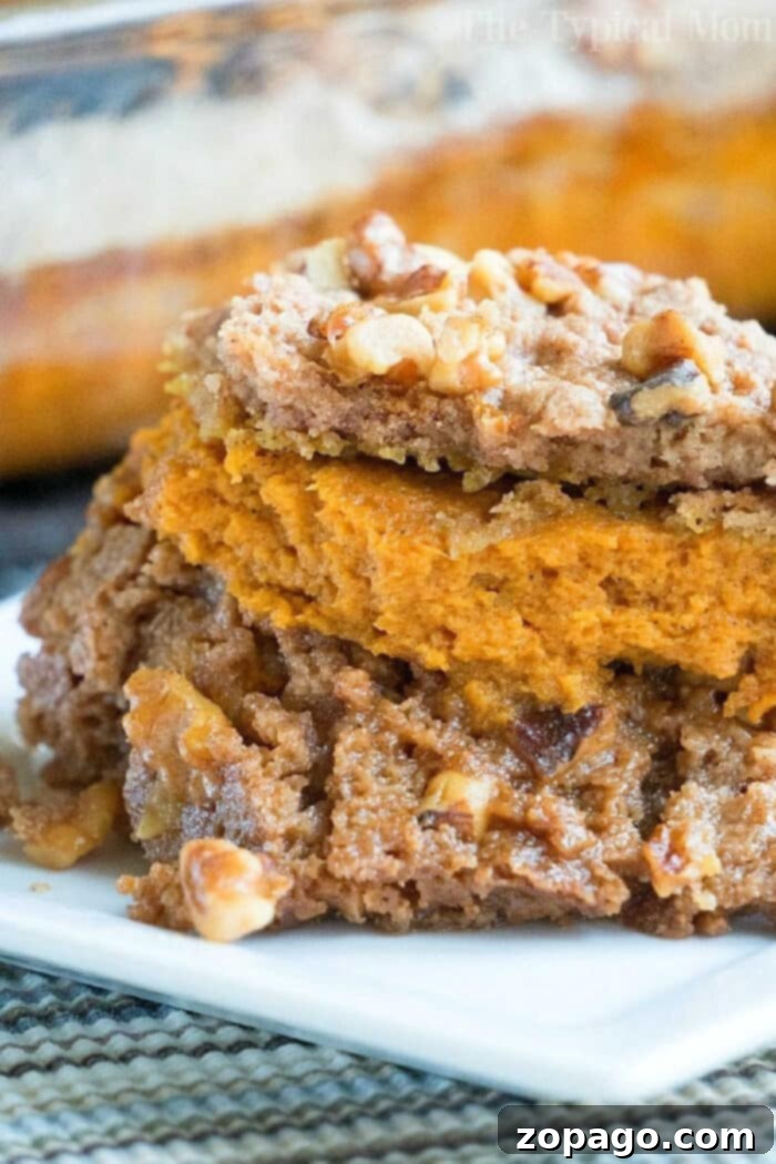 Easy Pumpkin Desserts for Fall: Bread, Cookies, Cake, and More Assortment of easy pumpkin desserts with pumpkin puree, including pumpkin bread, cookies, and cake, perfect for Fall.