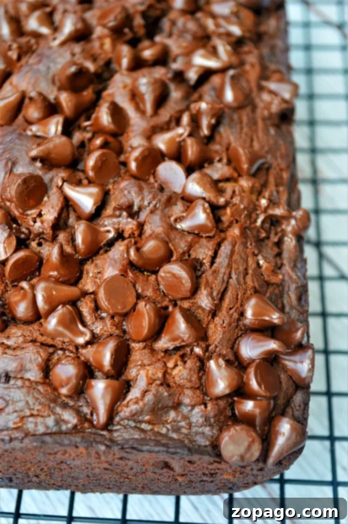 Moist Chocolate Chip Pumpkin Bread A close-up of chocolate chip pumpkin bread on a cooling rack, resembling a delectable slice of chocolate pumpkin cake, showing its moist texture.