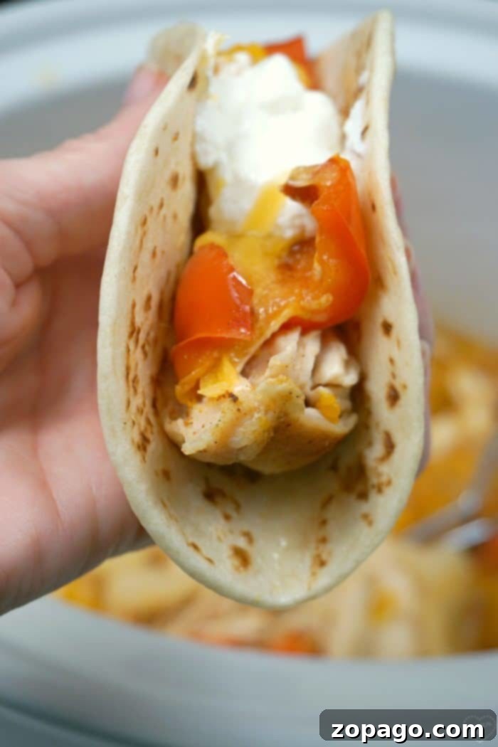Easy crockpot chicken fajitas recipe your whole family will love!! Our favorite slow cooker recipe that's cheap, really easy and a healthy meal too. #crockpot #chickenfajitas #fajitas #slowcooker #crockpotrecipes A close-up shot of cooked chicken fajitas, showcasing tender chicken strips, colorful bell peppers, and onions in a rich, savory sauce, ready to be eaten.