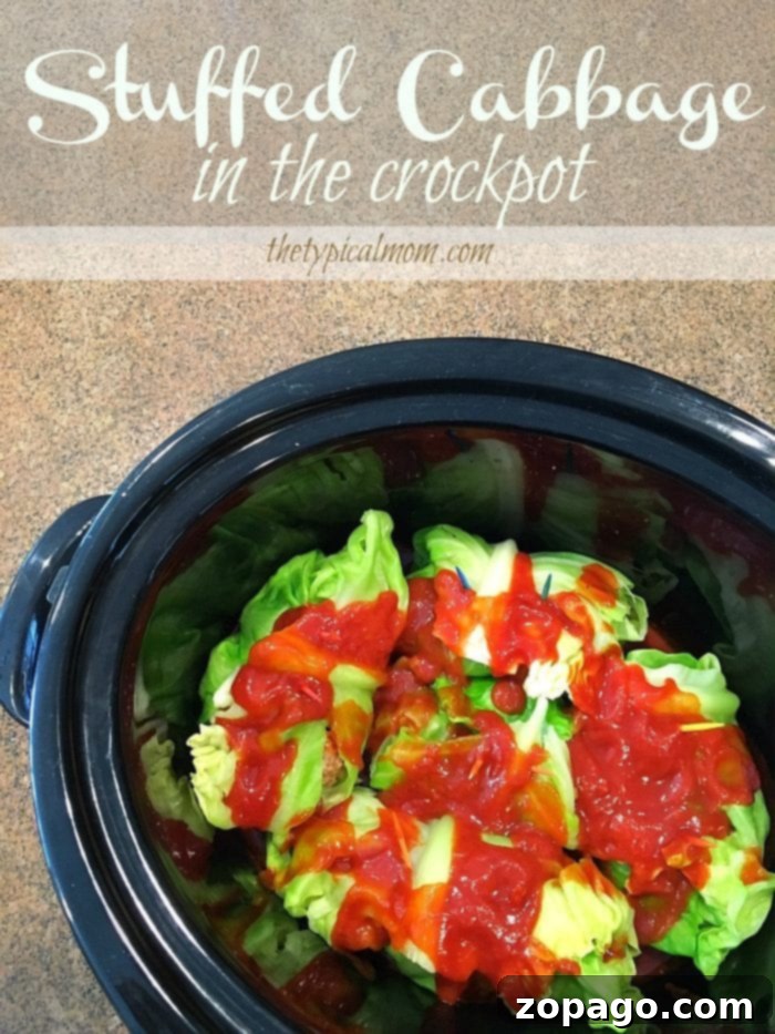 Crockpot hamburger recipes that are easy to make!! From soups to stuffed cabbage, lasagna and more you're sure to find a favorite one! #crockpot #slowcooker #hamburger #recipes various crockpot hamburger recipes displayed, an array of easy slow cooker meals for families
