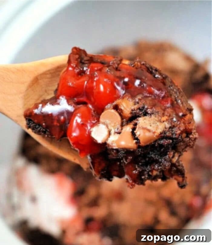 Slow Cooker Molten Chocolate Cake 4 Crockpot Lava Cake with cake mix, ready to be served