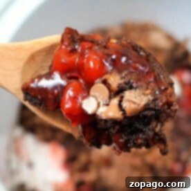 Slow Cooker Molten Chocolate Cake 5 Crockpot Lava Cake with cake mix