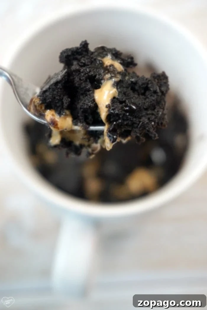 Indulgent Mug Brownie 2 A spoonful of chocolate and peanut butter brownie being lifted from a mug offers a delightful twist on how to make a brownie in a mug.