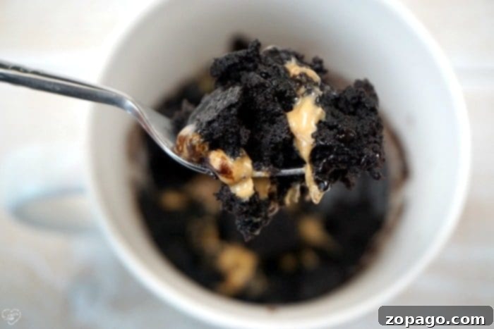 Indulgent Mug Brownie 5 A spoonful of decadence, this chocolate mug brownie with melted peanut butter is a quick delight. Perfect for those curious about how to make a brownie in a mug, it’s all the indulgence you need in minutes.