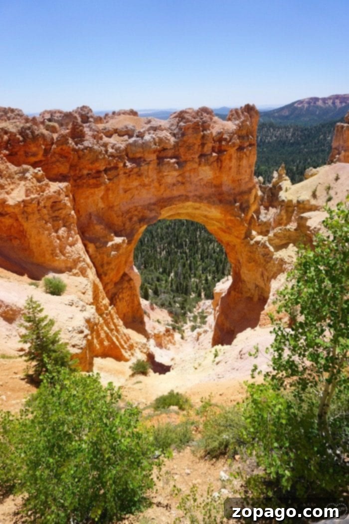 Experiencing the magnificent landscapes of Bryce Canyon Utah with family, perfect for creating lasting memories. Children enjoying the panoramic views of Bryce Canyon National Park