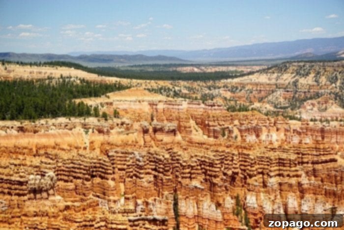 Detailed view of the intricate geological formations at Bryce Canyon Utah, a natural wonder. Close-up of vibrant hoodoo formations in Bryce Canyon, Utah
