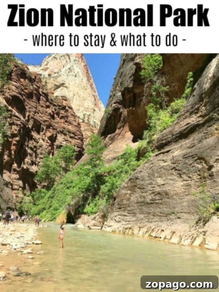 Exploring The Narrows in Zion National Park Family exploring The Narrows in Zion National Park Utah
