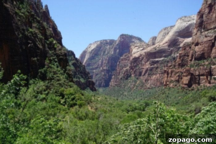 Virgin River winding through Zion Canyon The Virgin River flowing through Zion Canyon
