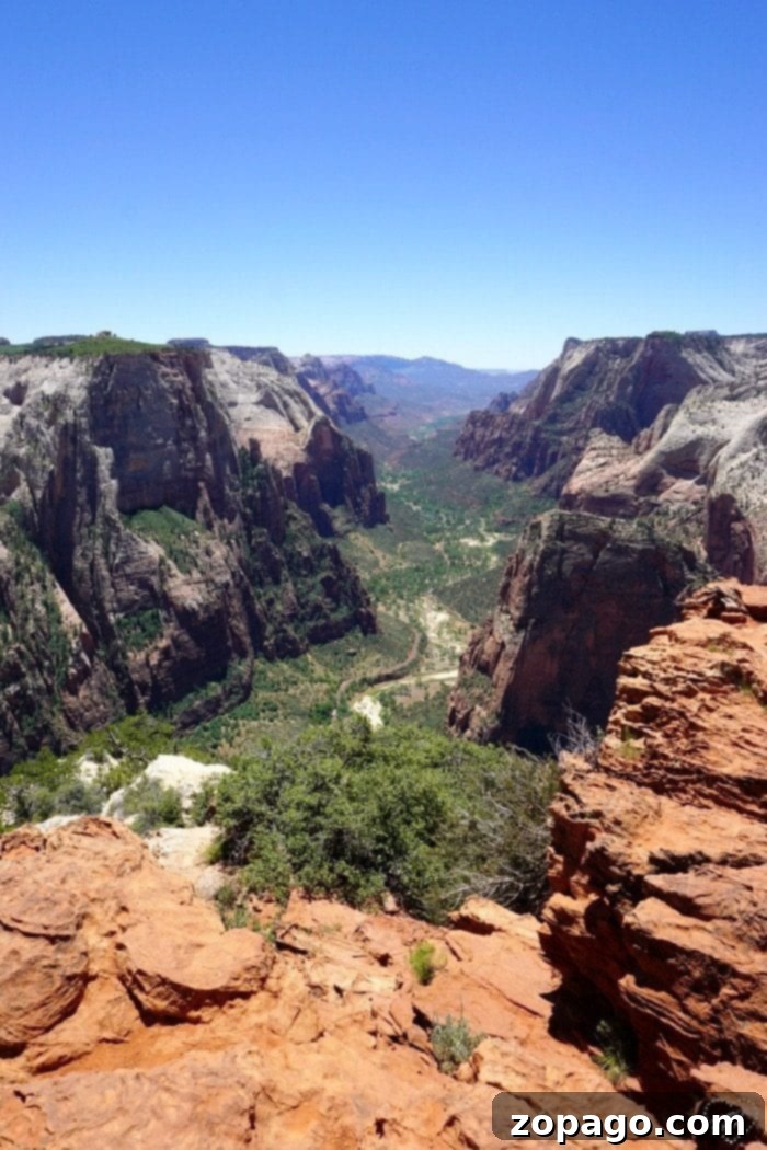 Stunning vista from Observation Point Panoramic view from Observation Point in Zion