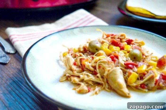 Crockpot shredded chicken. Ingredients for crockpot shredded chicken laid out on a countertop