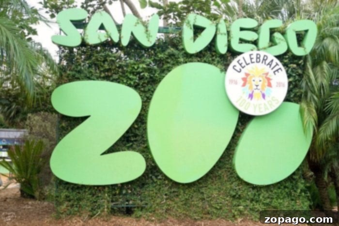 Sleeping With The Animals San Diego Zoo Sleepover Review 2 Families enjoying a San Diego Zoo sleepover, a truly unique experience