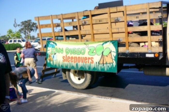 Sleeping With The Animals San Diego Zoo Sleepover Review 3 Kids excited for their San Diego Zoo sleepover adventure