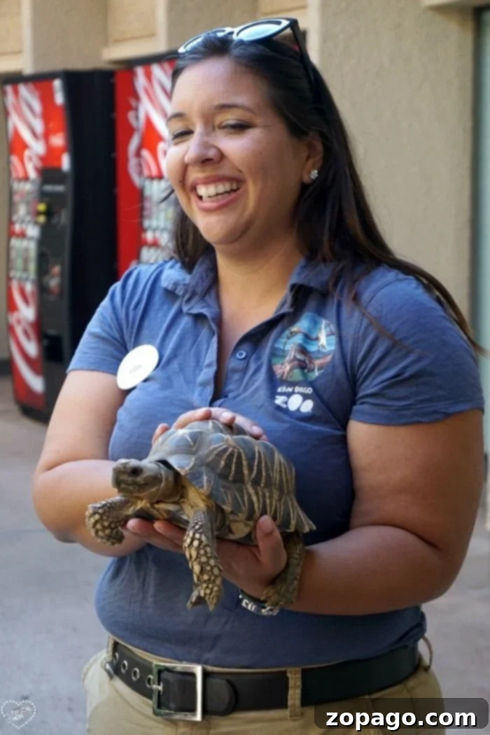 Night at the Zoo: Our San Diego Sleepover Adventure 5 san diego zoo educational program